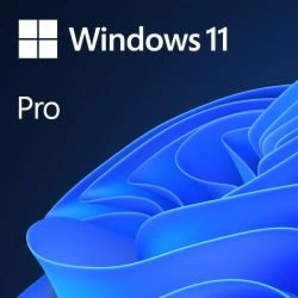 Windows 11 Professional 64 bit OEM