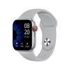 Platinum Smart Watch HALE C with BT Calling - Silver